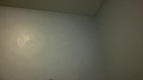 Snapshot of animeboygirls chatting on November 2025 04:11:02 AM Animeboygirls online show from November 2025 04:11:02 AM