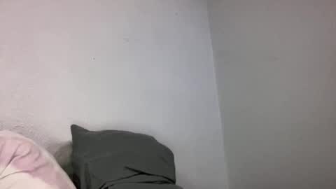 Snapshot of animeboygirls chatting on December 2025 06:00:01 AM Animeboygirls online show from December 2025 06:00:01 AM