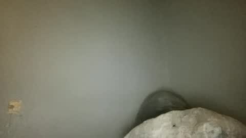 Animeboygirls online show from June 2026 03:40:02 AM
