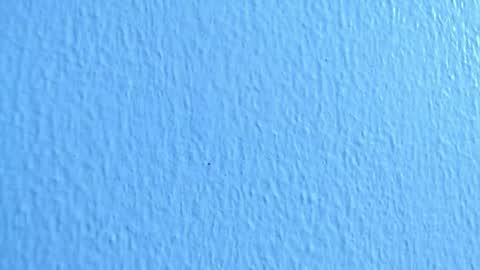 Snapshot of anisston_boods1 chatting on December 2024 07:03:01 AM ana independent model online show from December 2024 07:03:01 AM