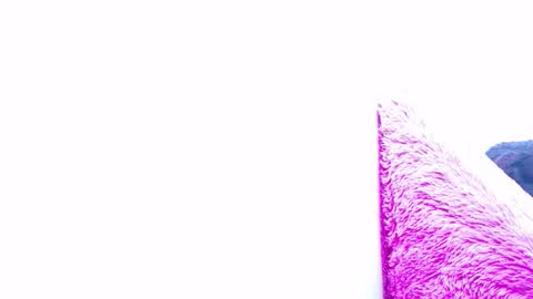 Snapshot of anisston_boods1 chatting on January 2025 07:37:02 AM ana independent model online show from January 2025 07:37:02 AM