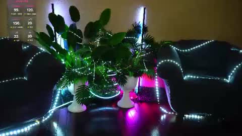 anita_von online show from June 2026 04:54:01 AM