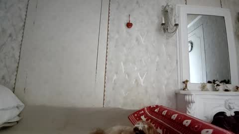 Snapshot of annagoldy3 chatting on December 2025 06:23:01 AM Anna online show from December 2025 06:23:01 AM