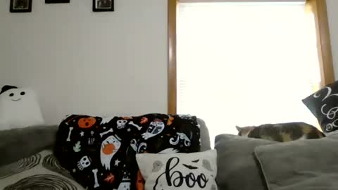 anne online show from October 2025 01:47:02 PM