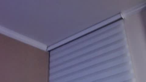       online show from July 2026 12:51:01 AM