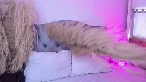 annie_20_ online show from March 2026 05:23:02 PM