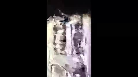 anniebunni online show from February 2026 10:37:02 AM