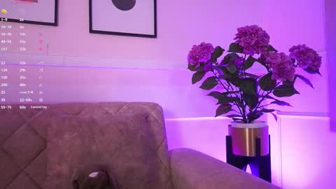 Ana online show from February 2026 11:38:02 AM