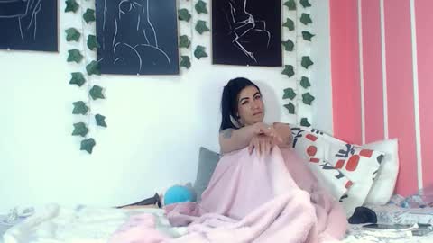    online show from November 2025 03:11:01 PM