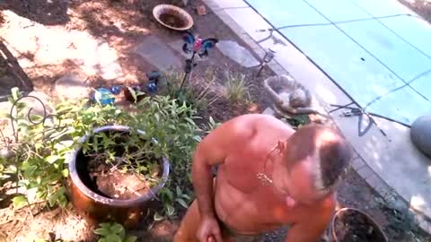anoaklawnguy online show from April 2026 03:47:01 PM