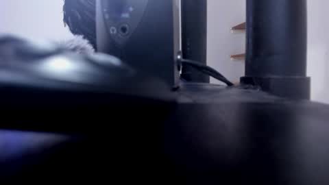 ANTO  online show from October 2025 01:22:01 PM