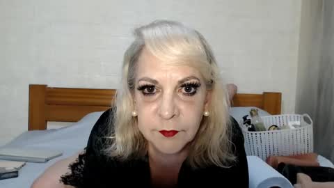 ANY CAT online show from June 2026 09:23:01 AM