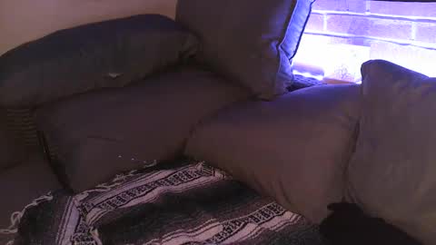 Snapshot of aphrodite_ash chatting on September 2025 07:56:02 AM Shy Happy Pair online show from September 2025 07:56:02 AM