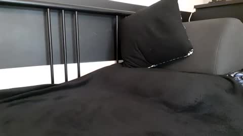 apollobest77 online show from September 2025 04:10:02 PM