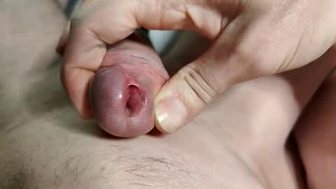 Snapshot of apollodams chatting on December 2025 02:12:02 PM Apollo online show from December 2025 02:12:02 PM