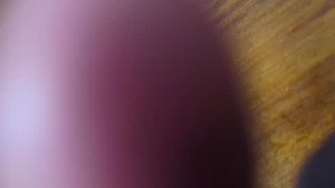 apollodarkmn online show from July 2026 04:10:02 AM
