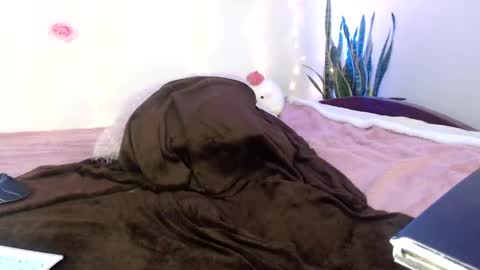 Snapshot of apolo01_ chatting on December 2024 03:58:01 PM Apolo online show from December 2024 03:58:01 PM