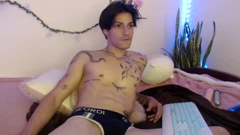 Snapshot of apolo01_ chatting on December 2024 05:11:01 PM Apolo online show from December 2024 05:11:01 PM