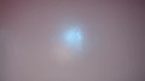 apple2561 online show from May 2026 03:42:02 PM