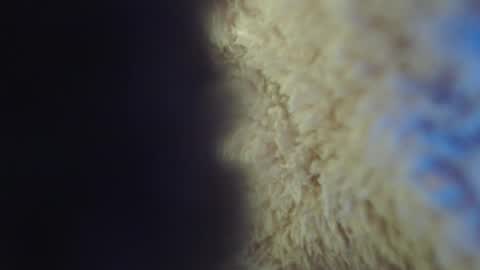 Snapshot of apriil_3 chatting on February 2025 05:09:02 AM Abril Freelance Model online show from February 2025 05:09:02 AM