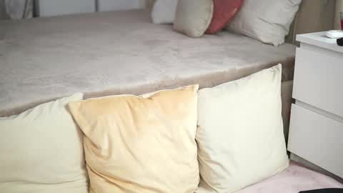 Laura online show from December 2025 07:32:01 PM