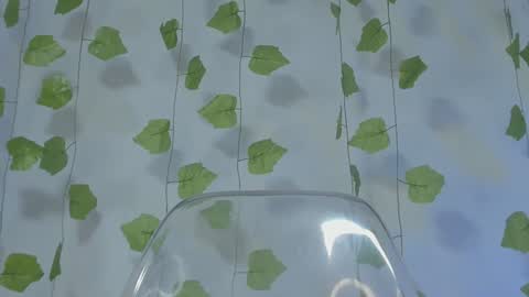 APRIL online show from January 2025 10:12:02 PM