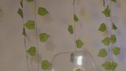 APRIL online show from January 2025 05:41:01 PM