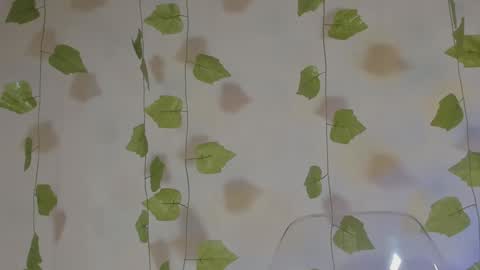 APRIL online show from January 2025 02:25:02 AM