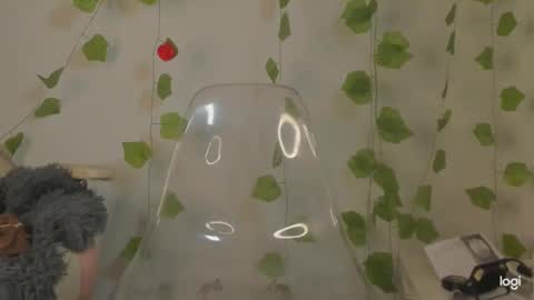 APRIL online show from March 2025 07:28:02 PM