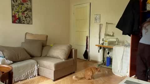 aqua_sultry online show from June 2026 08:38:01 AM