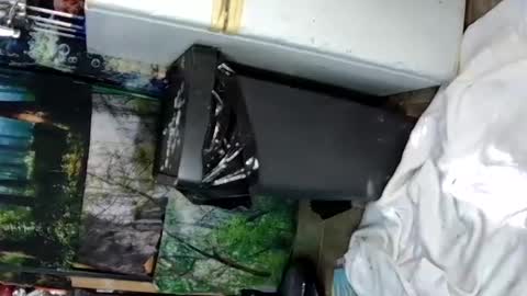 aquafoxxy online show from June 2026 09:28:01 PM
