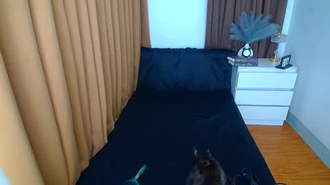 Snapshot of arabella_califa chatting on March 2025 12:21:01 AM ARABELLA online show from March 2025 12:21:01 AM