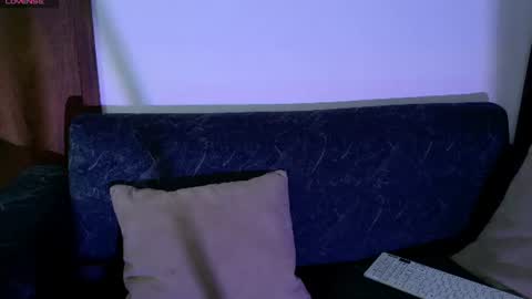 Aram - Next stream 28-01 online show from June 2026 11:41:01 AM