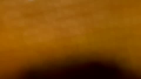 Aranza online show from July 2026 10:32:02 AM