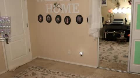 Archancel online show from March 2025 03:39:01 AM