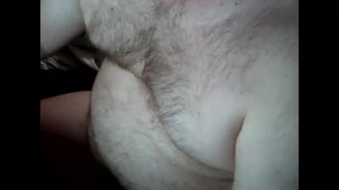 ardnov online show from May 2026 05:29:01 PM