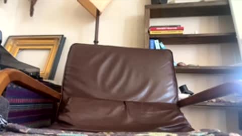 arealjerk69696969 online show from June 2026 05:56:02 PM