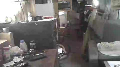 arealshowoff online show from May 2026 03:06:02 PM
