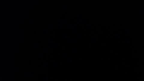 ARIANNA  online show from January 2026 02:59:01 AM