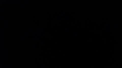 ARIANNA  online show from February 2026 02:53:01 AM