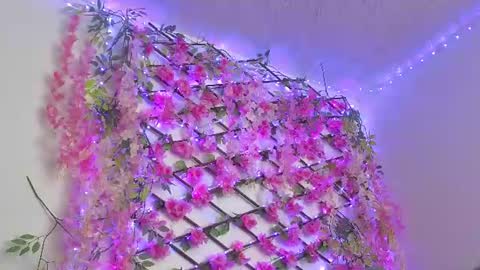 aria_silk online show from July 2026 09:17:02 PM
