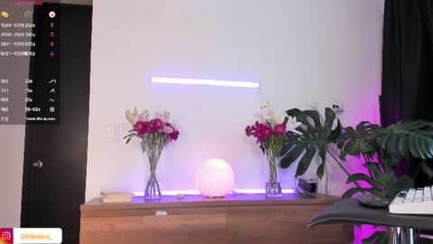 DaniAri - dimension X at night NY time online show from July 2026 05:04:02 PM