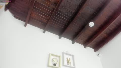 Snapshot of ariana_martins chatting on March 2025 03:39:01 AM ARI online show from March 2025 03:39:01 AM