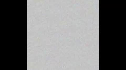 Arianna Collins online show from September 2025 11:33:02 AM