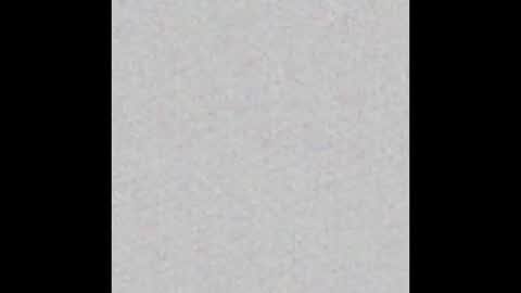 Arianna Collins online show from October 2025 11:41:02 AM