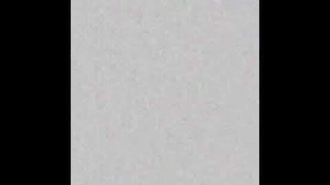 Arianna Collins online show from October 2025 11:42:01 AM