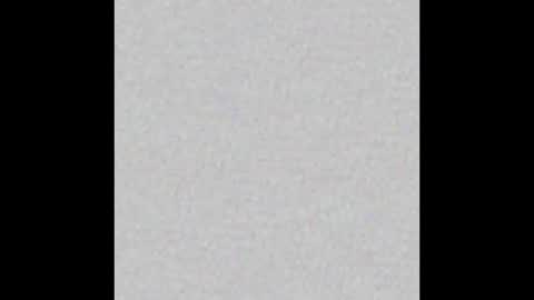 Arianna Collins online show from January 2026 11:36:02 AM