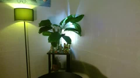 Your love arianna online show from February 2025 03:58:02 AM