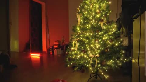 Snapshot of arianna_richi chatting on December 2024 05:48:01 AM Olivka online show from December 2024 05:48:01 AM