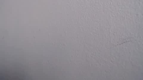 ariannaloovel online show from June 2026 05:22:02 PM